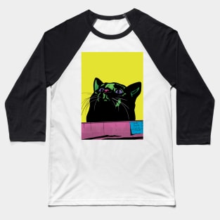 Fat Cat in a Box Baseball T-Shirt